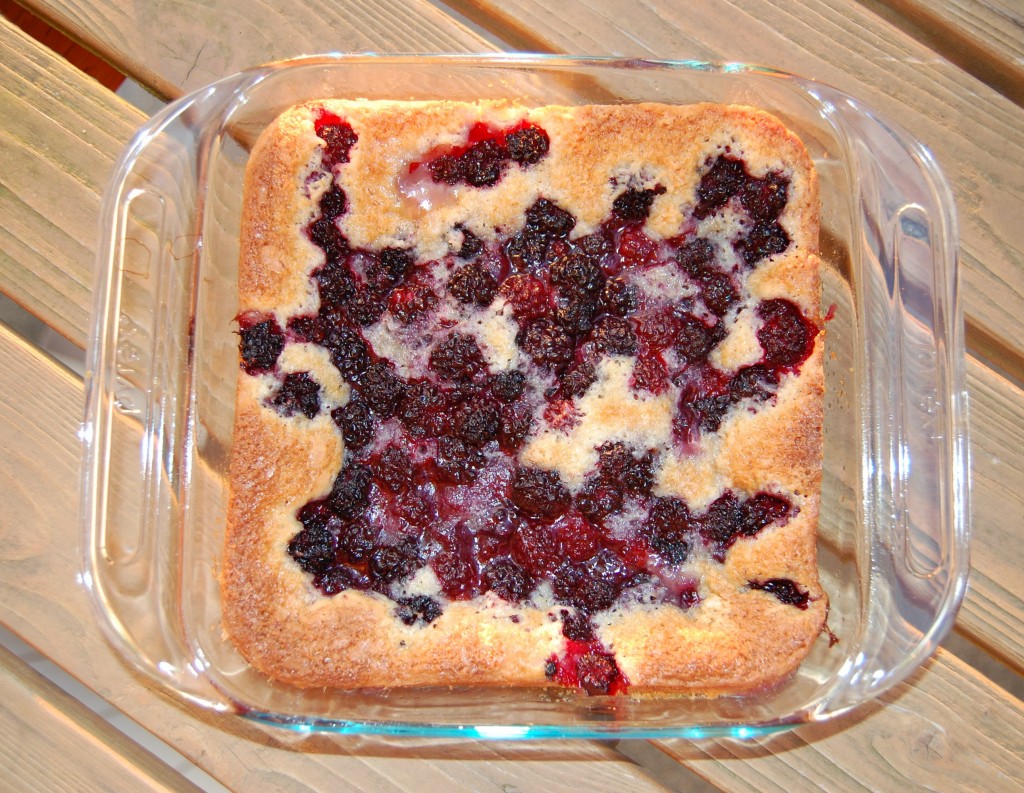 Blackberry Cobbler