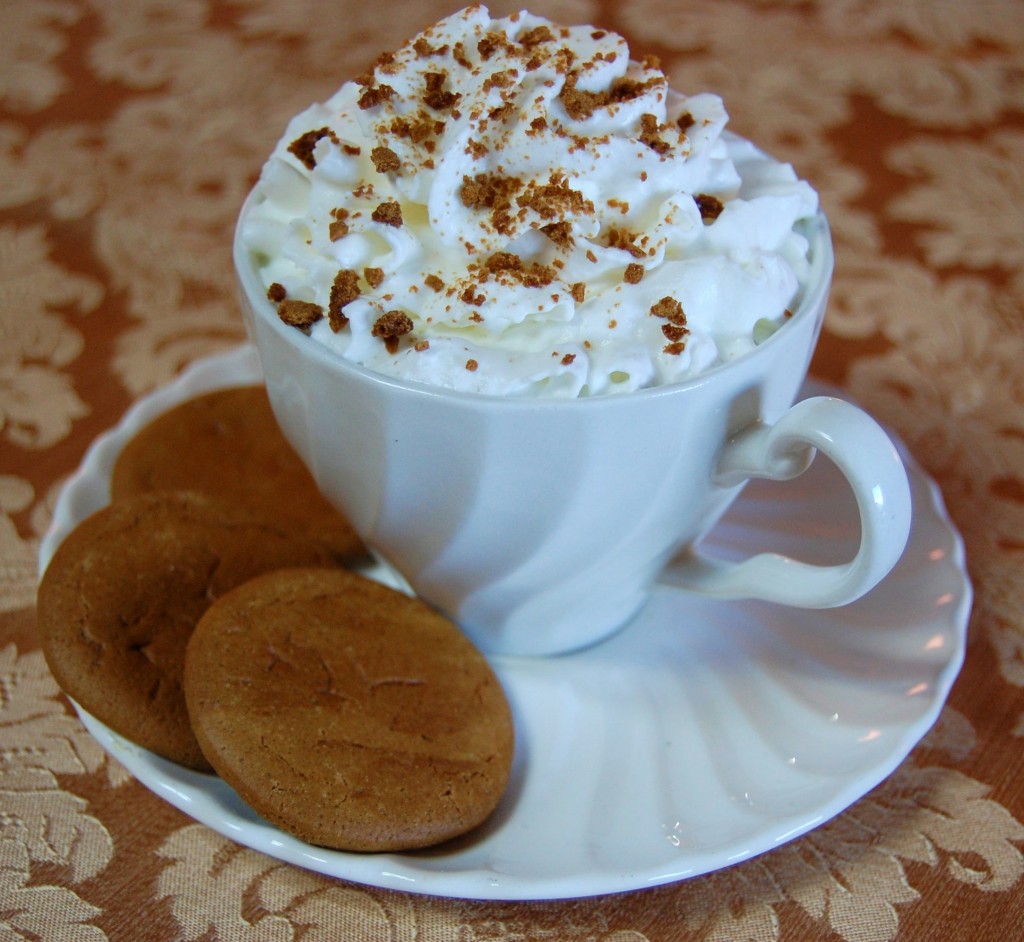 Gingersnap Hot Chocolate 