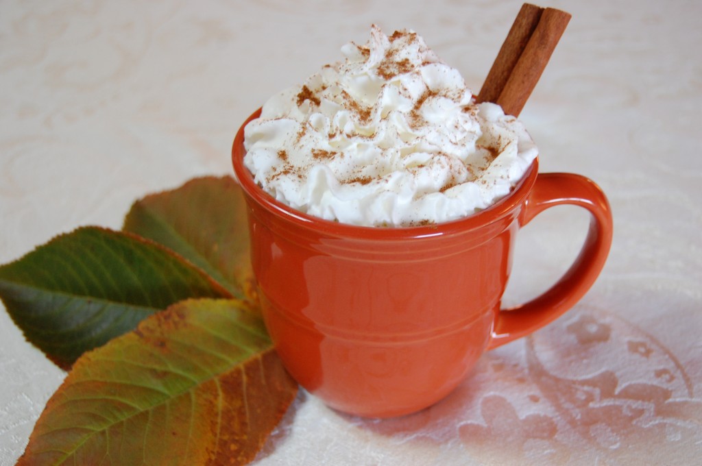 Pumpkin Pie Hot Chocolate