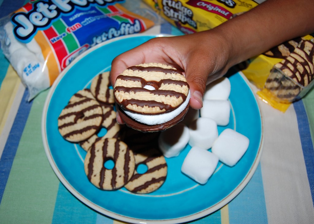 Fudge Stripes Cookie Smores