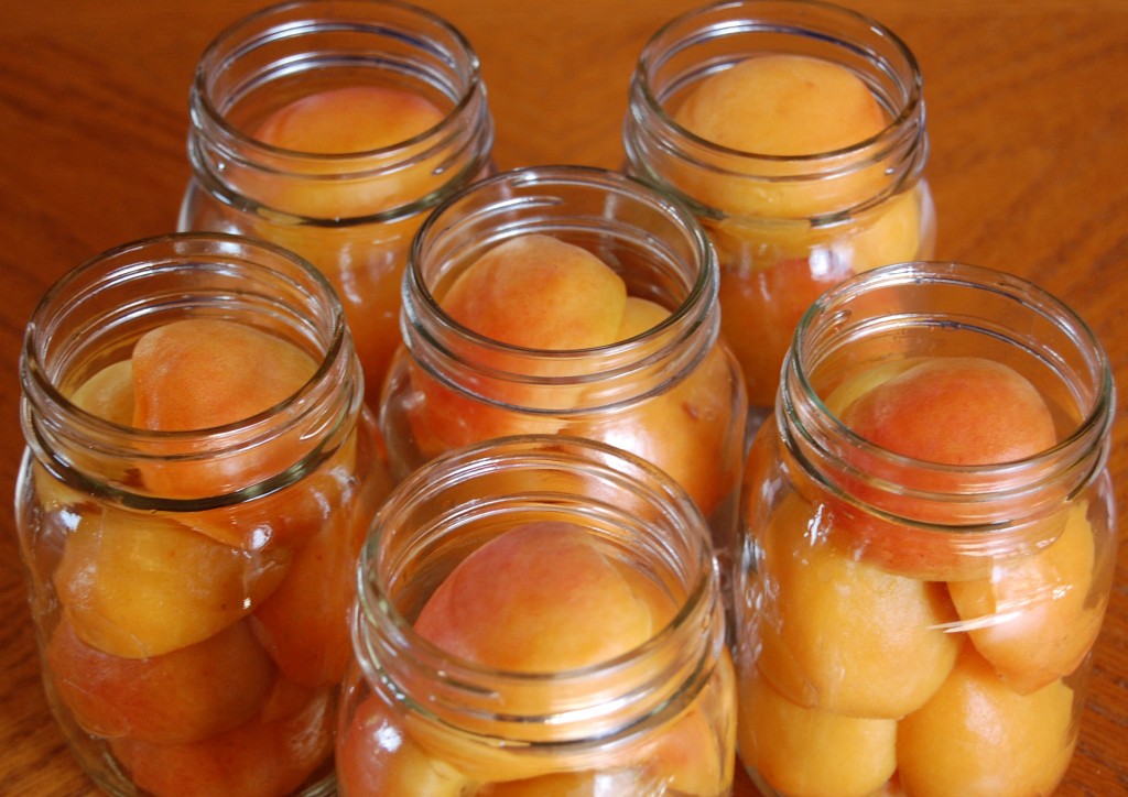 Apricots in Light Syrup